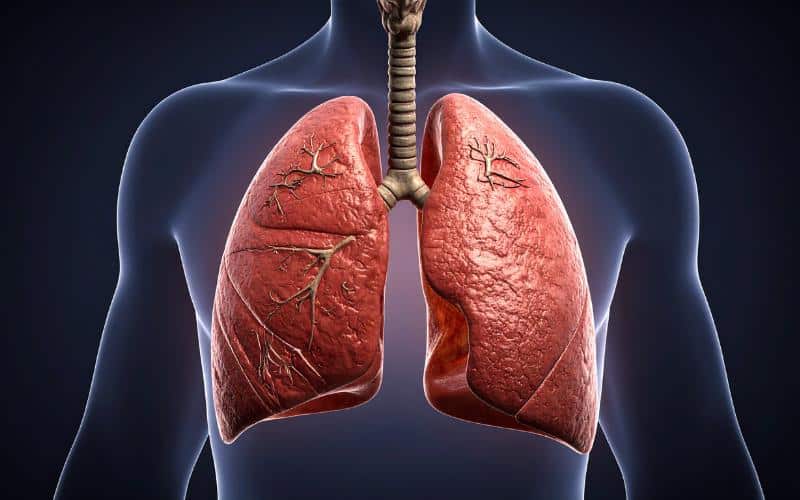 Lung Cancer